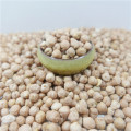 Good manufacture of chickpea hot sale